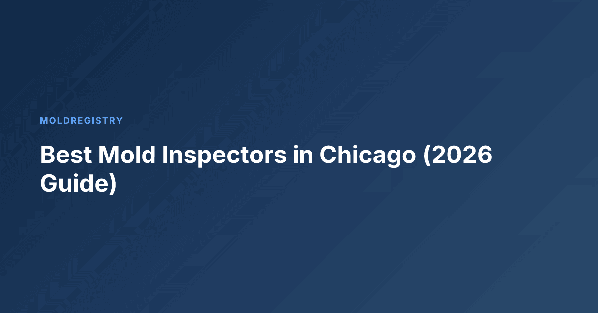 Best Mold Inspectors in Chicago (2026 Guide)