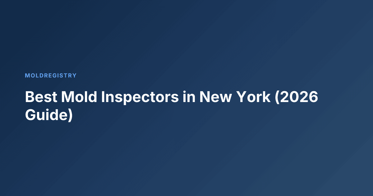 Best Mold Inspectors in New York (2026 Guide)