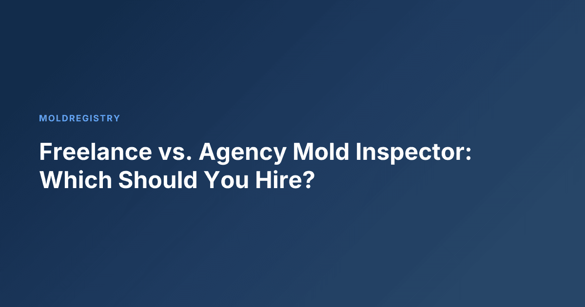 Freelance vs. Agency Mold Inspector: Which Should You Hire?