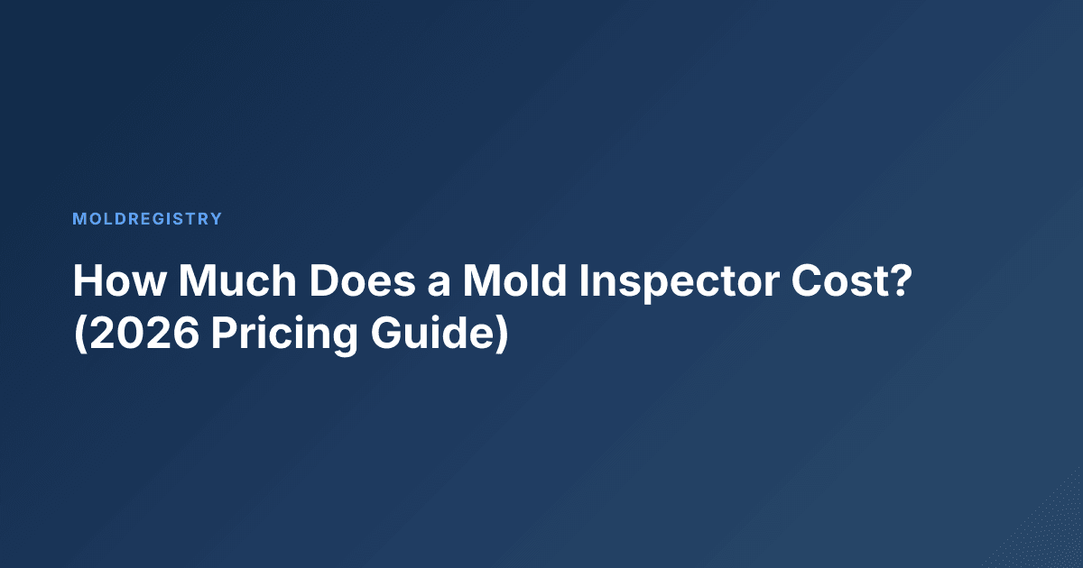 How Much Does a Mold Inspector Cost? (2026 Pricing Guide)