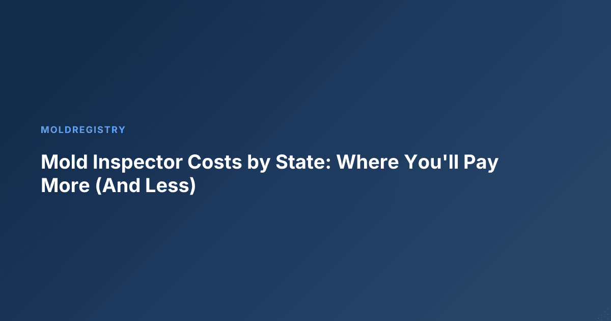 Mold Inspector Costs by State: Where You'll Pay More (And Less)