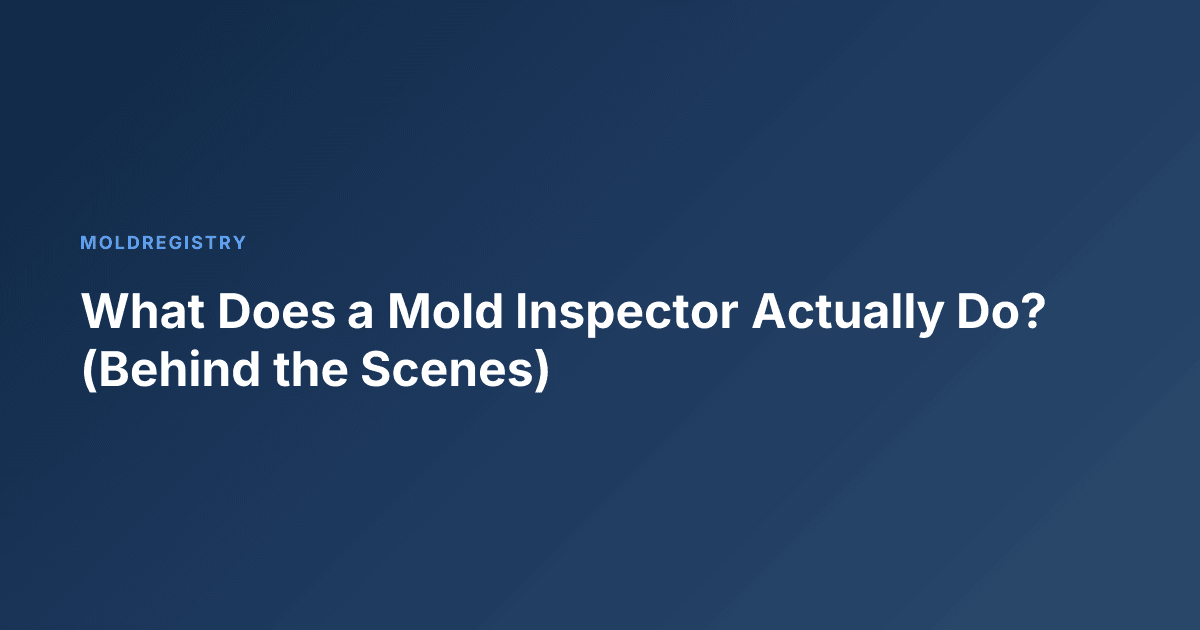 What Does a Mold Inspector Actually Do? (Behind the Scenes)