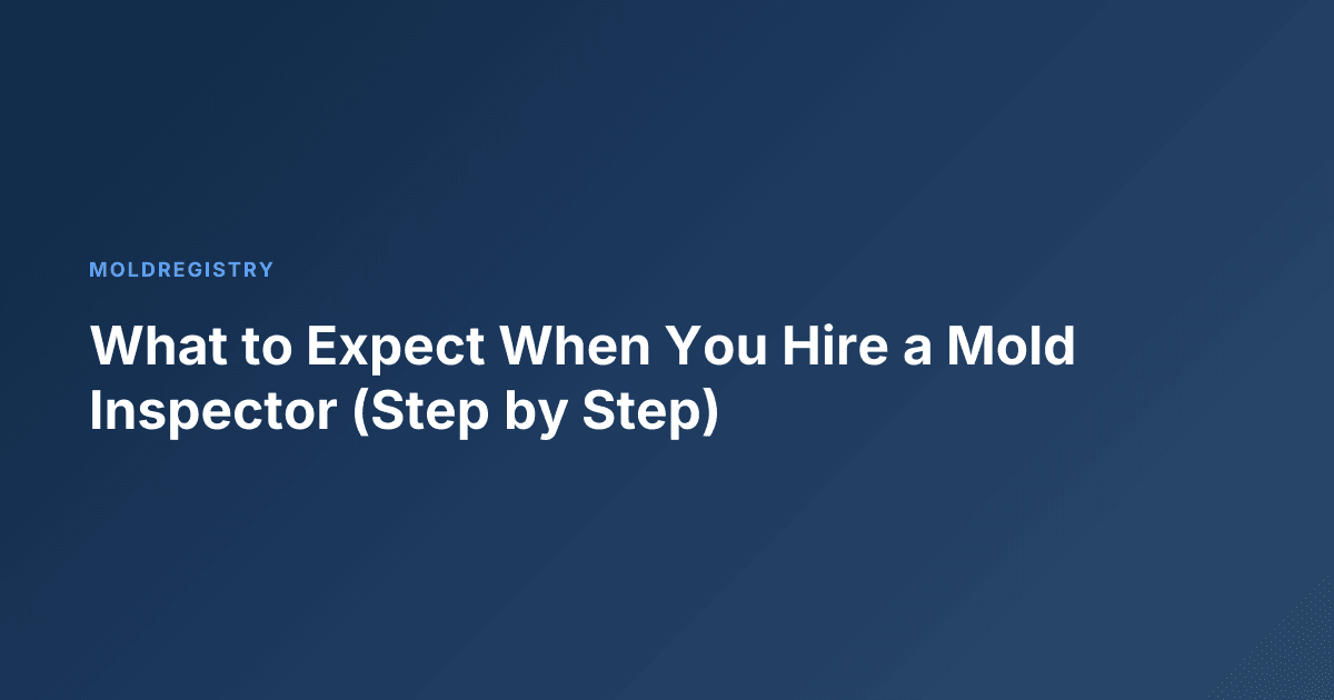 What to Expect When You Hire a Mold Inspector (Step by Step)